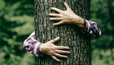 Responsabilidade Social